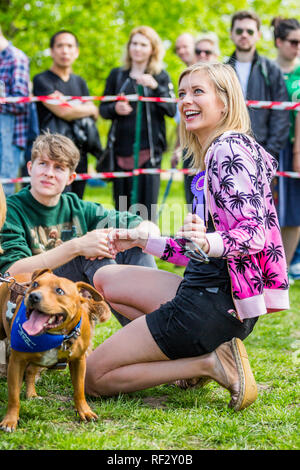 Rachel Riley juger un dog show sur Hampstead Heath dans un Londres Banque D'Images