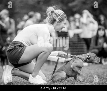 Rachel Riley juger un dog show sur Hampstead Heath dans un Londres Banque D'Images