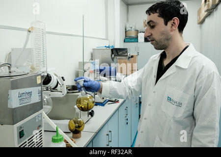 Lod, Israël. 23 janvier, 2019. Les industries pharmaceutiques Panaxia fournit des produits de qualité pharmaceutique produits du cannabis et des systèmes de prestation pour les patients et les médecins, la modernisation du domaine médical utilisant les propriétés et les avantages du cannabis médical tout en bénéficiant de plus de 20 pour cent de la main-d'œuvre dédiée à la recherche et au développement. Israël est considéré comme un leader mondial dans la recherche sur le cannabis médical et de l'innovation et l'un des trois seuls pays au monde où la recherche de cannabis est parrainé par le gouvernement. Credit : Alon Nir/Alamy Live News Banque D'Images