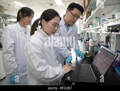 (190124) -- SHANGHAI, 24 janvier 2019 (Xinhua) -- Chercheur Zhang Zhongshan Road 95 (R) traite de la conception expérimentale avec les membres de son équipe à un laboratoire de l'Institut des neurosciences de l'Académie Chinoise des Sciences à Shanghai, la Chine orientale, le 22 janvier 2019. La Chine a cinq singes clonés à partir d'un gène-édité avec macaque les troubles du rythme circadien, la première fois plusieurs singes ont été clonés à partir d'un gène-singe édité pour la recherche biomédicale. Les scientifiques ont fait l'annonce jeudi, avec deux articles publiés dans la revue Science, une revue chinoise en anglais. Les singes clonés w Banque D'Images