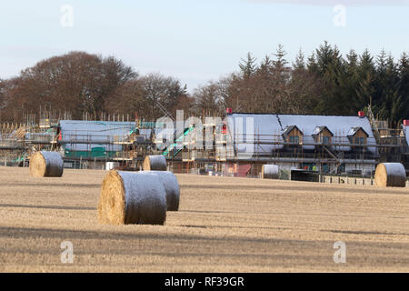 Culloden, Inverness, Écosse. 24 janvier, 2019. Les photos montrent que le cadre d'un développement immobilier controversé près de Culloden Battlefield est visible depuis le champ de bataille. Les manifestants contre les nouvelles maisons affirment qu'ils ont été informés par les développeurs que les maisons Maisons Kirkwood ne serait pas visible depuis le champ de bataille. Cette photo montre une autre vue sur les maisons à partir de la proximité de la zone de construction. Crédit : Andrew Smith/Alamy Live News Banque D'Images