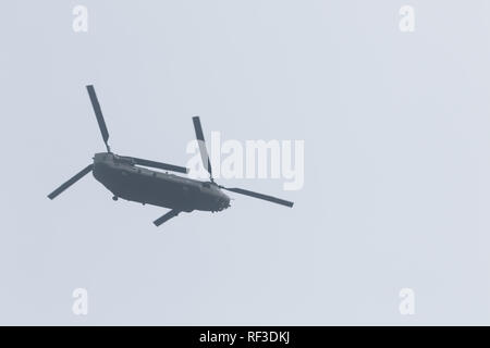 Londres, Royaume-Uni. 24 Jan, 2019. Un hélicoptère de transport militaire Chinook de la RAF en vol au dessus des maisons du Parlement à Westminster Crédit : amer ghazzal/Alamy Live News Banque D'Images