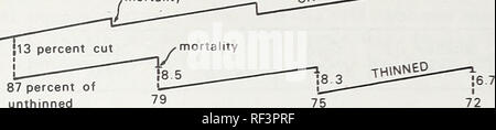 . Rendements avec et sans éclaircie commerciale répétées dans un site de haute qualité, le sapin de Douglas. Le douglas ; amincissement amincissement de la forêt. &Lt ; -i &Lt ; &Lt ; CD &Lt ; Z u. O I- Z ui O cc 120 110 100 90 80 70 60 50 40 30 20 10 0 56 la mortalité. 87 pour cent des 5860 non éclairci l   62 64 66 ÂGE (années) 68 70 72 74 Figure 3.--surface terrière relative croissance et le rendement des peuplements éclaircis et non éclaircis. Tableau 3.-Mortalité par acre en peuplements éclaircis et non éclaircis, arbres 5,5 pouces et plus grandes dans d.b.h.- Nombre d'années de la période de rodage ?./ nombre de tiges dire d.b.h. La surface terrière volume total po non éclaircis Sq Banque D'Images