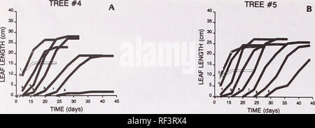 . De récentes recherches sur les maladies du feuillage : conference proceedings : Carlisle, Pennsylvanie, du 29 mai au 2 juin 1989. Maladies et ravageurs des feuilles United States Congrès. . Veuillez noter que ces images sont extraites de la page numérisée des images qui peuvent avoir été retouchées numériquement pour plus de lisibilité - coloration et l'aspect de ces illustrations ne peut pas parfaitement ressembler à l'œuvre originale.. Merrill, William ; Ostry, Michael E ; United States. Service des forêts, l'Union internationale des instituts de recherches forestières. Groupe de travail sur les maladies du feuillage. Washington, D. C. : U.S. Dept. of Agriculture, Forest se Banque D'Images