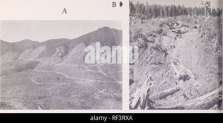 . Du mouvement de masse dans les régions côtières de l'Alaska. Mouvements de masse de l'Alaska. Figure 7.-Combinaison avalanche de débris-flux de débris dans un sol de till glaciaire (Karta), Maybeso Creek Valley, l'Île du Prince de Galles. Une vue aérienne, de pente jusqu'à la dissection active où se produit de glissement. Glissement récent, directement en corrélation avec une période de fortes précipitations et la concentration qui en résulte de l'eau du sol, s'est produit à droite de la bande de laisser au centre de la photo (1). Ce sont probablement associées à la coupe à blanc, mais il y a aussi beaucoup de preuves d'prelogging slide événement. B, vue rapprochée de la diapositive sur le site Banque D'Images