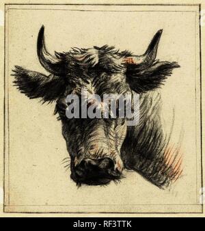 Tête d'une vache. Rapporteur pour avis : Pieter Gerardus van Os. Dating : 1786 - 1839. Dimensions : H 181 mm × W 172 mm. Musée : Rijksmuseum, Amsterdam. Banque D'Images