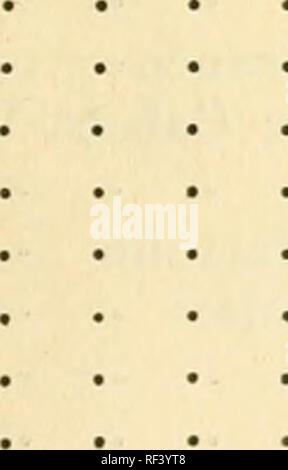 . Catalogos da la faune brazileira. Zoologie Zoologie ;. Índice alphabetico dos nomes vulgares 110 Acanã Agachada • • e Águia Chilena Águia Pescadora Ajurú • Alegrinho Albatroz Alcaide Alcatraz Alfaiate Alma Il Caboclo de Gato Alma Alma de Mestre Anacã • Ananhy Andorinhas Andorinha n Ma Andorinha Matto ne • Andorinha n'OCCO ne • Andorinhões Páu Andorinha Grande • • Anicavara Anhinga Anhuma Anum • Anum-GuassAnum-Peixe Anum Branco . Apacanim • • Araçari Araçari de banane-• n'Araçari Minhoca Araçari-Póca • • • Aracuan. 95 55 89 100 121 38 349 80 275 379 160 160 36 124 74 339 39 177 383 340 137 79 78 36 Banque D'Images