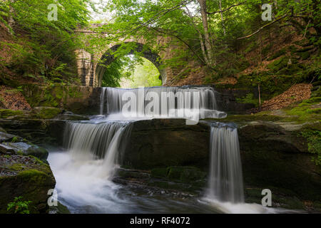 Pont de pierre sous une cascade dans la montagne des Rhodopes près de Sitovo village, Bulgarie, Europe, spring time photography Banque D'Images