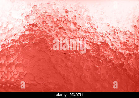 La macro photo montre des bulles sous-marines qui soulèvent de l'eau vivants Banque D'Images