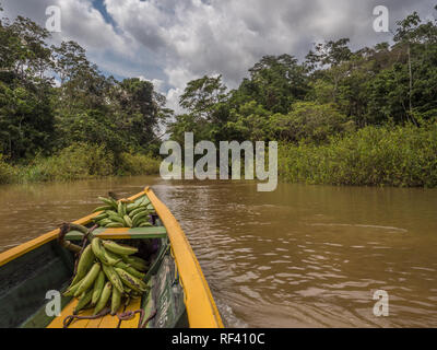 Paumari, Brésil- Novembre 25, 2018, Affaires indiennes traditionnelles : voile et belle vue avec le reflet dans la lagune de jungle amazonienne. L'Amérique latine Banque D'Images