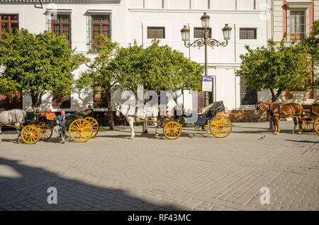 Séville, Horse diligences à Plaza del Triunfo, Sevilla, Séville, Andalousie, Sud de l'Espagne. Banque D'Images