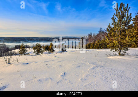 La route d'hiver dans la forêt. Soleil rose ou le lever du soleil, vallée de montagne à couvert d'arrière-plan avec la couche de brume. Au premier plan, l'arbre de pin vert Banque D'Images