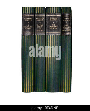 Éditions Folio Society of Charles Darwin's principaux ouvrages, isolé sur fond blanc, pur. Banque D'Images