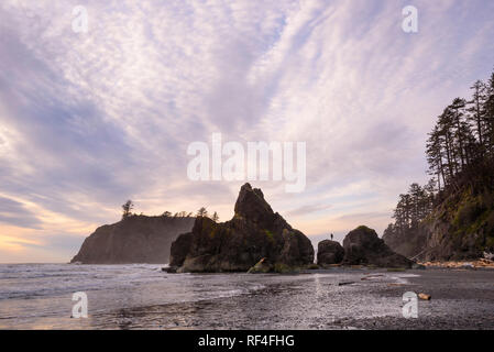 Les piles de la mer à Ruby Beach, Olympic National Park, Washington. Banque D'Images