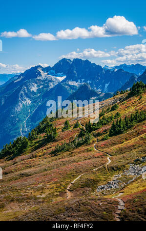 Vue vers le bras de Stehekin Sahale Trail, Cascade, col North Cascades National Park, Washington. Banque D'Images