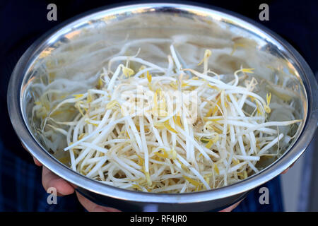 Close up of fresh haricots mungo dans bol en acier inoxydable Banque D'Images