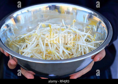 Close up of fresh haricots mungo dans bol en acier inoxydable Banque D'Images