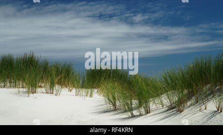 Dune de sable de plage sur l'herbe avec un ciel bleu sur toile, Spit, adieu la côte ouest de la Nouvelle-Zélande. Banque D'Images