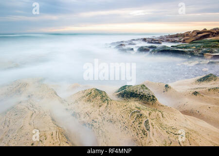 Réserve Naturelle de Hoop protège un tronçon important de la végétation fynbos dans la riche région florale du Cap ainsi qu'une section de littoral alo Banque D'Images