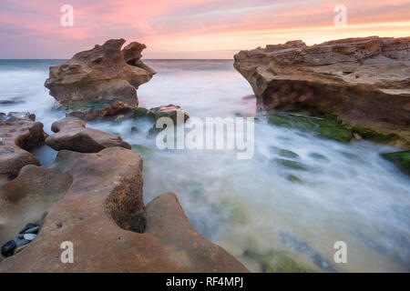 Réserve Naturelle de Hoop protège un tronçon important de la végétation fynbos dans la riche région florale du Cap ainsi qu'une section de littoral alo Banque D'Images