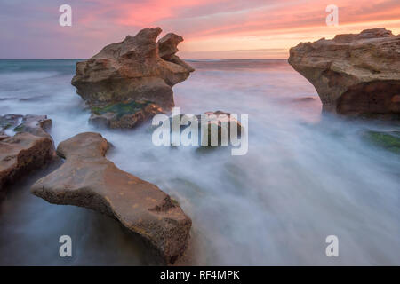 Réserve Naturelle de Hoop protège un tronçon important de la végétation fynbos dans la riche région florale du Cap ainsi qu'une section de littoral alo Banque D'Images