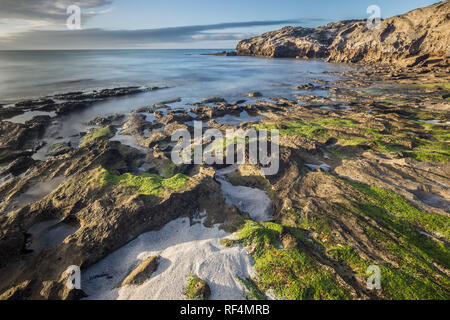 Réserve Naturelle de Hoop protège un tronçon important de la végétation fynbos dans la riche région florale du Cap ainsi qu'une section de littoral alo Banque D'Images