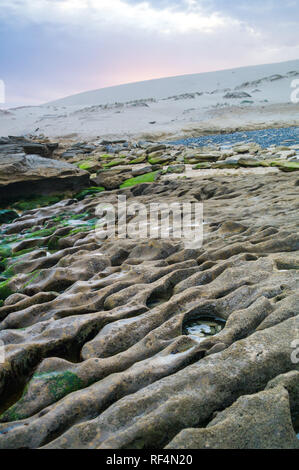 Réserve Naturelle de Hoop protège un tronçon important de la végétation fynbos dans la riche région florale du Cap ainsi qu'une section de littoral alo Banque D'Images