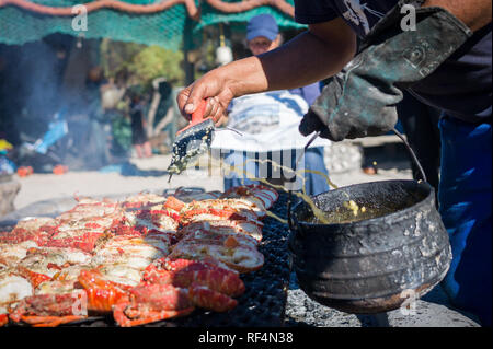 Langebaan et la côte ouest de l'Afrique du Sud sont célèbres pour les écrevisses, qui sont en fait une espèce de langouste ou langouste, Jasus lanlandii. Banque D'Images