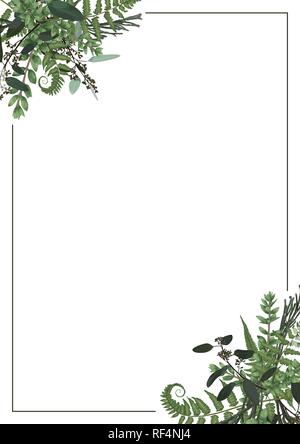 Or décoratif Cadre rectangulaire à l'eucalyptus, des fougères et des branches de buis isolé sur blanc. Pour les invitations de mariage, vignettes, cartes postales, bruni Illustration de Vecteur