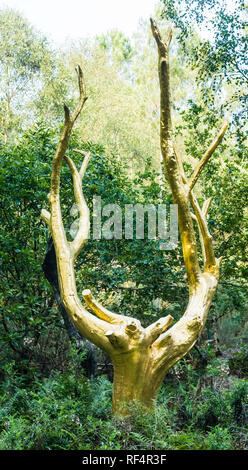 Le Golden Tree (arbre d'Or) dans la forêt mystique de Brocéliande en Bretagne Banque D'Images