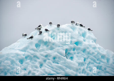 LONGYEARBYEN, Svalbard — les icebergs et les glaciers près de Longyearbyen, dans l'archipel arctique de Svalbard. Ces structures glacées époustouflantes incarnent non seulement la beauté sauvage de l'Arctique, mais servent également d'indicateurs cruciaux du changement climatique, de leurs changements et de leurs fondus révélant des informations clés sur les tendances du réchauffement climatique. Banque D'Images