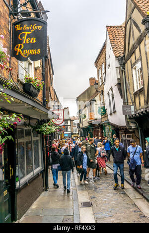 Les salons de thé, la pagaille, l'étroite rue de pans de vieux bâtiments médiévaux, York, North Yorkshire, Angleterre, Royaume-Uni. Banque D'Images