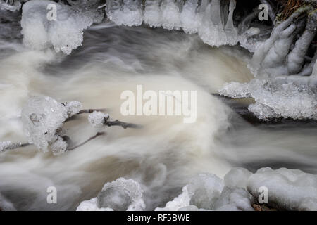 Une petite rivière qui coule entre les arbres avec un petit degré de l'eau. La rivière qui traverse une forêt de feuillus. Saison Hiver. Banque D'Images