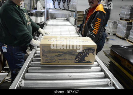 Les travailleurs des usines de transformation du poisson congelé d'emballage à l'UniSea filets de goberge de fruits de mer à Dutch Harbor, l'île Unalaska, Alaska, United States. Banque D'Images