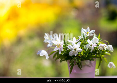 Bouquet de belles perce-neige dans un petit vase sur fond nature ,concept de printemps et fleurs. perce-neige en tant que symbole pour le printemps.carte de Pâques festives avec les perce-neige.Copy space Banque D'Images