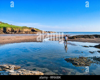 8 juin 2018 : Bovisand, Plymouth, Devon, UK - boy playing with dog à Bovisand plage à marée basse, avec ciel bleu clair. Banque D'Images