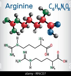 L'arginine (Arg, R) molécule d'acide aminé, il est utilisé dans la biosynthèse des protéines . Formule chimique structurale et molécule modèle. Vector illustratio Illustration de Vecteur