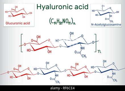 L'acide hyaluronique (HA, l'hyaluronane, hyaluronate ) de froment. L'acide hyaluronique (HA) est un biomatériau composé viscoélastique, de répéter disaccharide u Illustration de Vecteur