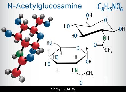 N-acétylglucosamine (NAG), molécule est l'unité monomérique de la chitine et polymérisé avec l'acide glucuronique, il forme l'acide hyaluronique. Che structurels Illustration de Vecteur