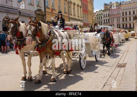 Cracovie, Pologne - 8 juillet 2018. Voitures à cheval conduit jusqu'en attente de touristes en ligne Rynek Glowny, la place centrale historique, dans la vieille ville de Cracovie Banque D'Images