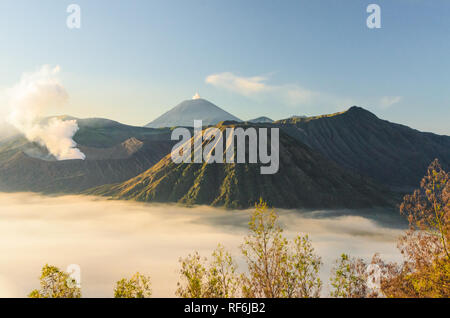 Lever du soleil à Parc National de Bromo Tengger Semeru, l'Est de Java, Indonésie Banque D'Images