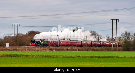 Flying Scotsman, loco vapeur sur la ligne côtière est au sud de Selby, Yorkshire du Nord, du nord de l'Angleterre, Royaume-Uni Banque D'Images