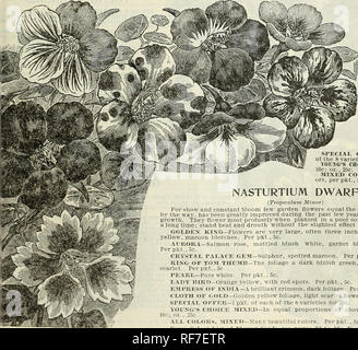 . Catalogue Printemps : 1900. Pépinières (Horticulture) Saint Louis Missouri ; catalogues de bulbes (plantes) ; Catalogues Catalogues Fleurs Graines légumes ; catalogues ; les plantes, arbustes ornementaux ; catalogues ; Catalogues Catalogues de fruits. Nasturt. La capucine (Escalade) Ils sont aussi facilement cultivées comme la politique, grand- cultiver des variétés, qu'ils surpassent en ihc re- marquables l' éclat de couleur ; très attrayant pour des vases ou des paniers suspendus, ou cultivés se faire distancer sur le terrain. SPITFIRE - Fiery red ; très show c. p. x iKf ! Pkt., 5ch. ^" %T BRILLIANTE-Fine écarlate. Par pkt., 5ch. Je Napoléon III.-jaune-doré, repéré Banque D'Images