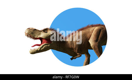 Tyrannosaurus rex, Close up T-Rex Dinosaur regarder à travers le mur (3d render isolé sur fond blanc) Banque D'Images