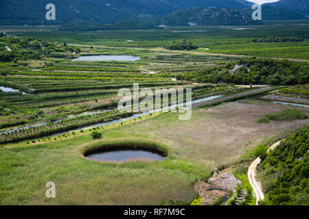 Delta Neretva est le delta de la Neretva, une rivière qui s'écoule à travers la Bosnie-et-Herzégovine et la Croatie et s'écoule dans l'Adriatique, Neretva-Delta. Banque D'Images