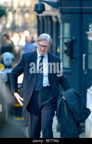 Bill Cash / Sir William Paiement MP (Conservateur : Pierre dans Staffordshire) arrivant à Downing Street vers la fin d'une réunion du cabinet, 22.01.2019 Banque D'Images