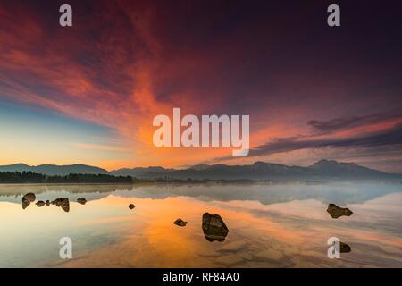 Avec le reflet de Forggensee ciel nuageux et l'Allgäuer montagnes en arrière-plan au lever du soleil, Füssen, Allgäu, Bavière Banque D'Images