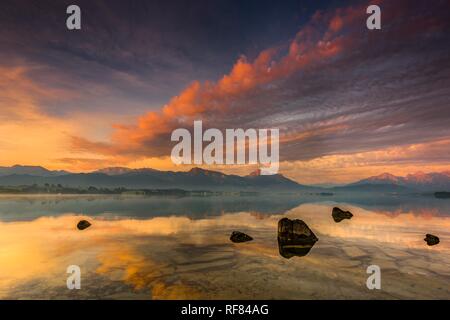 Avec le reflet de Forggensee ciel nuageux et l'Allgäuer montagnes en arrière-plan au lever du soleil, Füssen, Allgäu, Bavière Banque D'Images