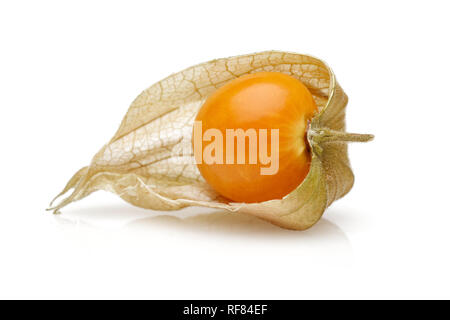 Physalis les fruits ou baies d'or isolé sur fond blanc Banque D'Images