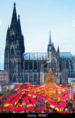 Marché de Noël à la cathédrale de Cologne le soir, Cologne, Rhénanie du Nord-Westphalie, Allemagne Banque D'Images